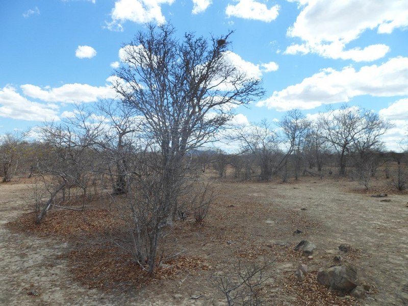 Visão geral - general view