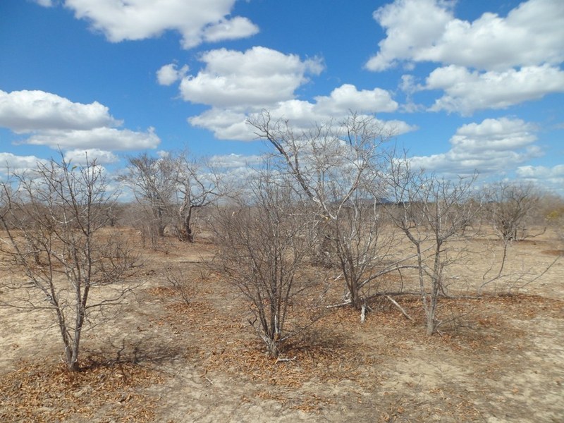 Visão leste - east view