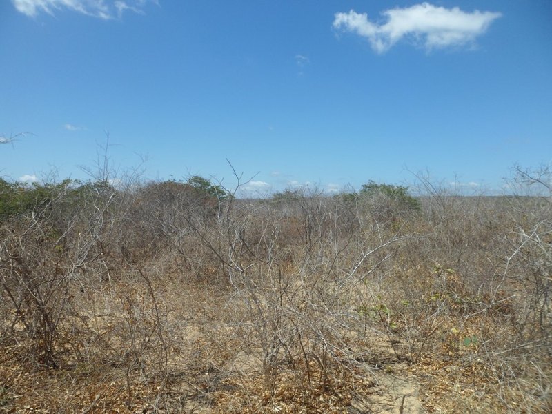 Visão geral - general view