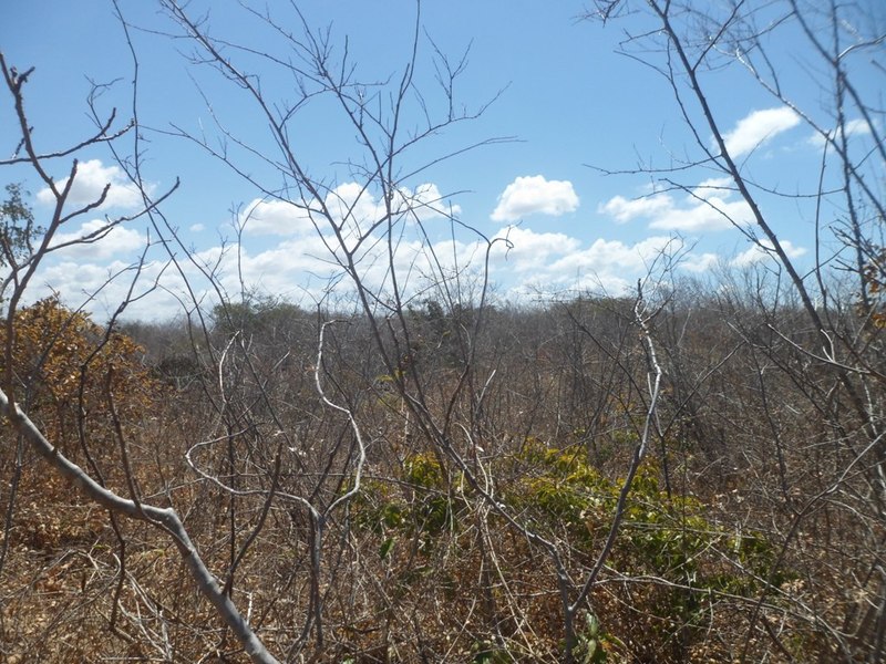 Visão norte - north view