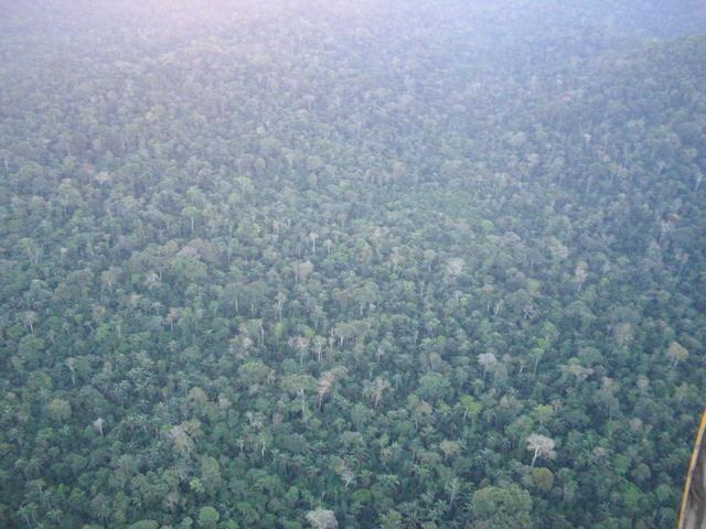 visão aérea do local da confluëncia