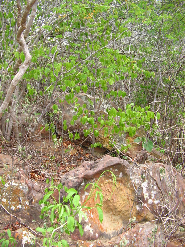 Vista da confluência. General view