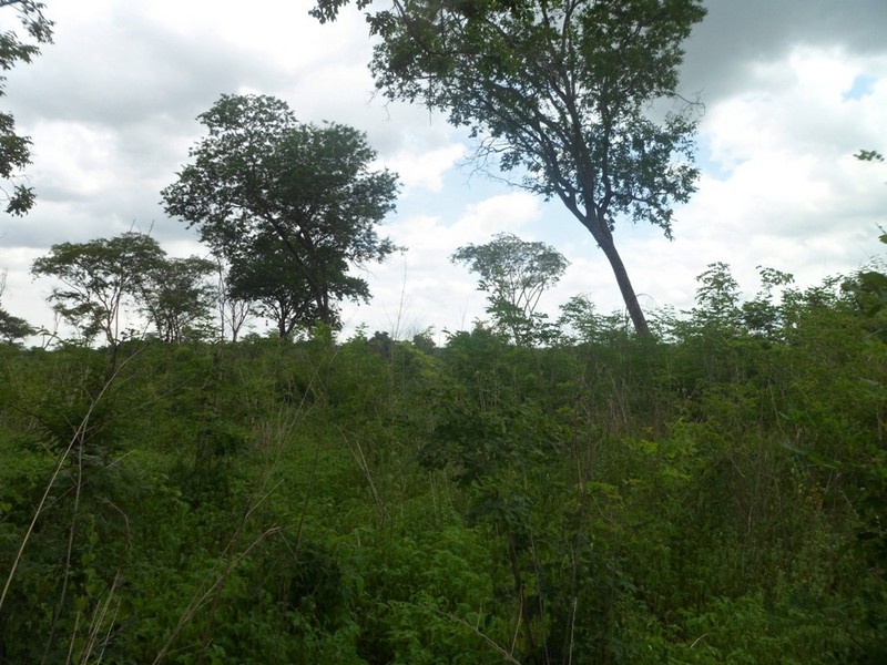 Visão geral - general view