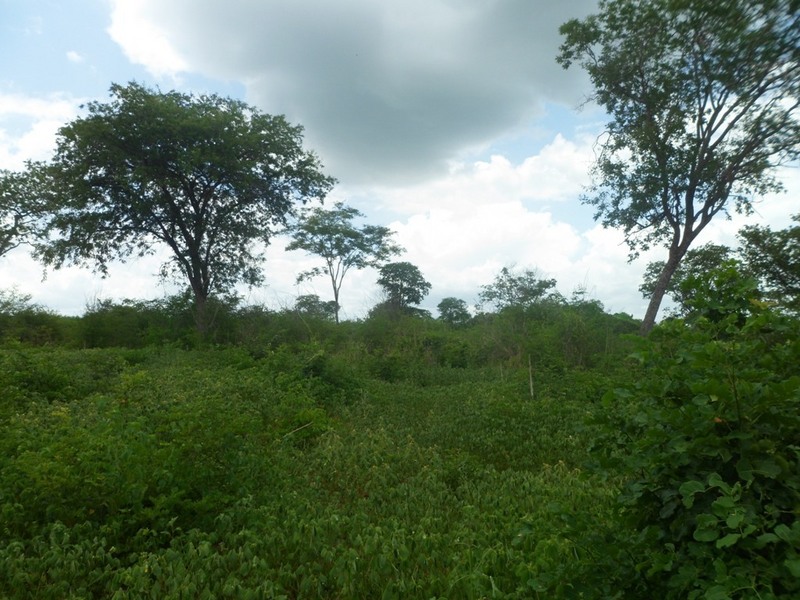 Visão leste - east view