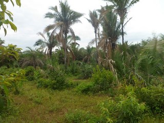 #1: Visão geral - general view