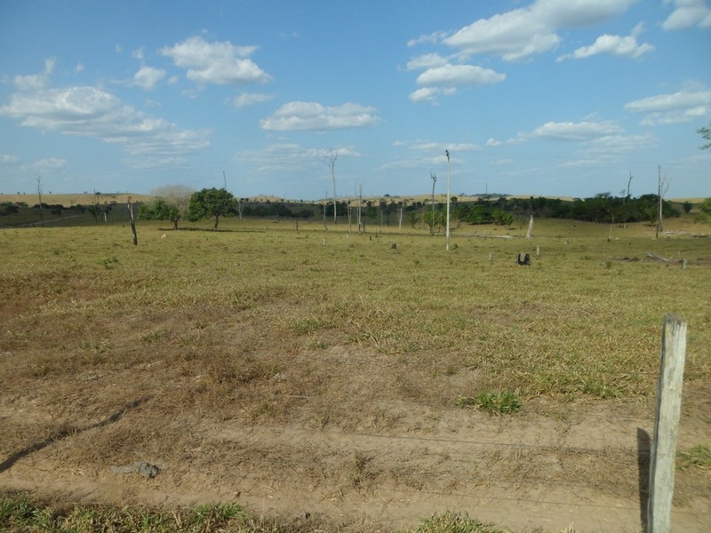 Visão geral, a partir da estrada de terra - general view, from dirt road
