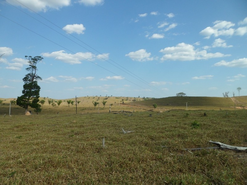 Visão sul e a estrada de terra ao fundo - south view and dirt road at the background