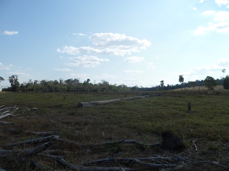 Visão oeste - west view