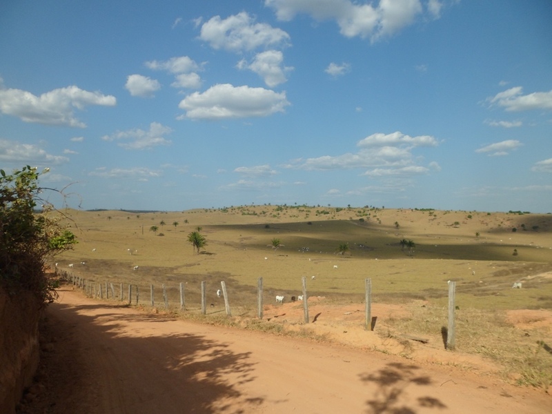 Bela paisagem na região da confluência - beautiful landscape at confluence region