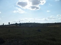 #7: Aramos o carro a 49 metros da confluência - we stopped the car 49 meters to the confluence