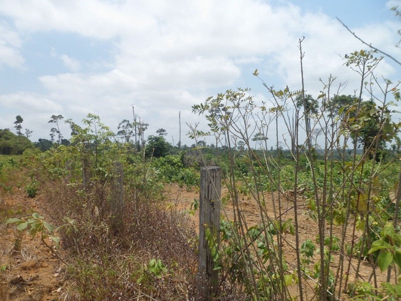 Visão leste - east view