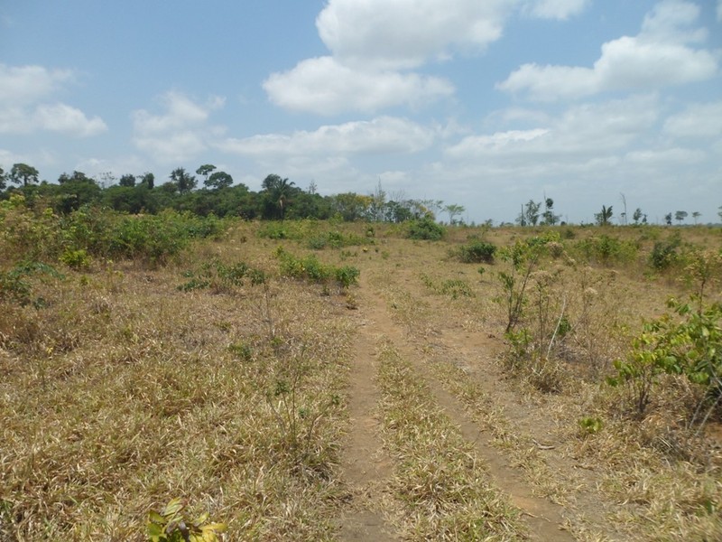 A trilha vai até 390 metros do ponto exato - the track goes up to 390 meters to the exact point