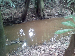 #1: Depois de atravessar o riacho, são mais 1.870 metros pela mata fechada - after crossing the stream, it's more 1,870 meters in the dense jungle