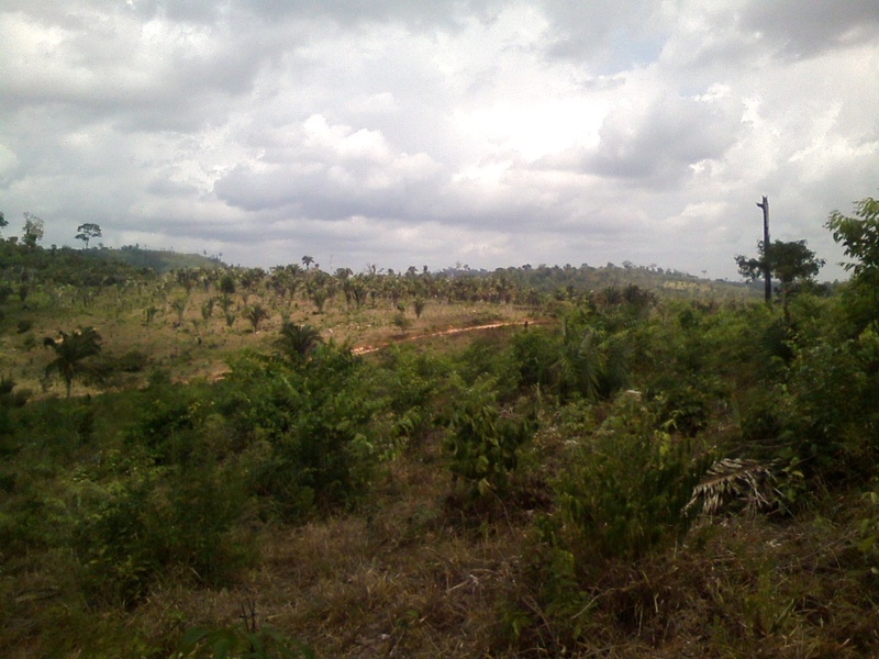 Visão oeste e a estrada de terra - west view and dirt road