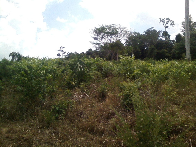 Visão norte - north view