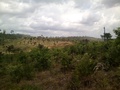 #3: Visão oeste e a estrada de terra - west view and dirt road