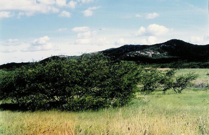 South