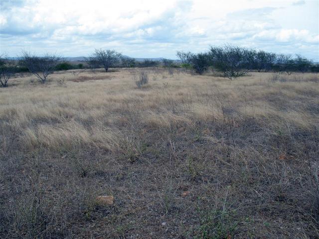 North view from confluence