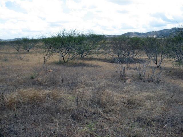 South view from confluence