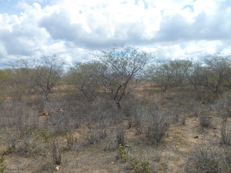 Visão geral - general view