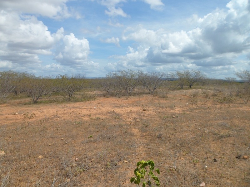 Visão norte - north view