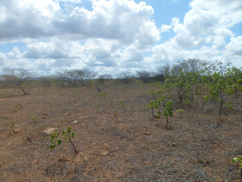 Visão leste - east view