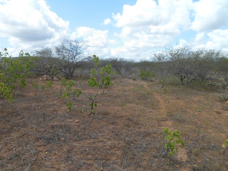 Visão sul - south view