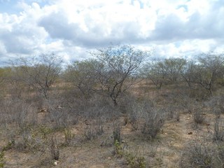#1: Visão geral - general view