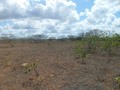 #4: Visão leste - east view