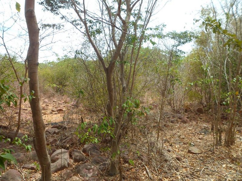 Visão sul - south view