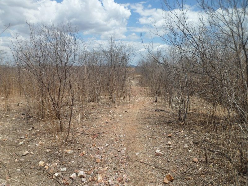 Primeiro trecho de caminhada pela trilha - first leg of hike by the track