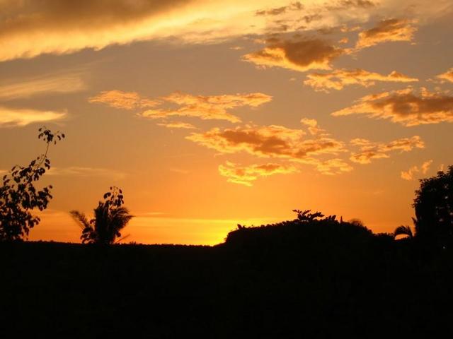 Por do sol em Palmeirais (Palmeirais sunset) Caminhada pela mata (Walking in the forest)