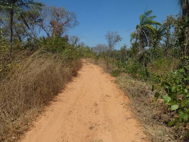 Segunda tentativa: muita areia na estrada - second attempt: too much sand on the road