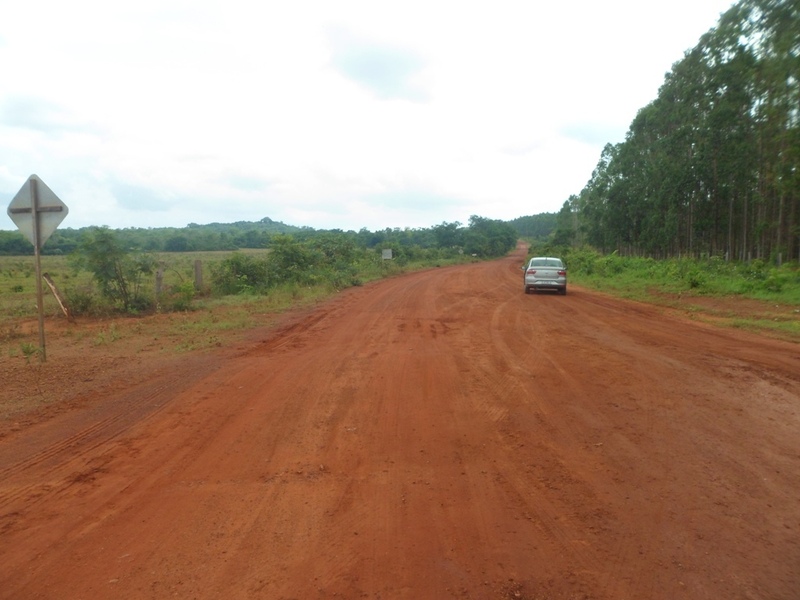 Estrada que dá acesso à fazenda - road that goes to the farm