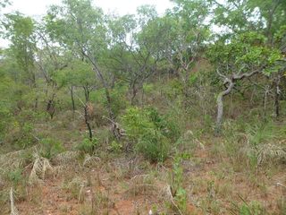 #1: Visão geral - general view