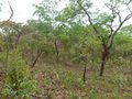 #4: Visão leste - east view