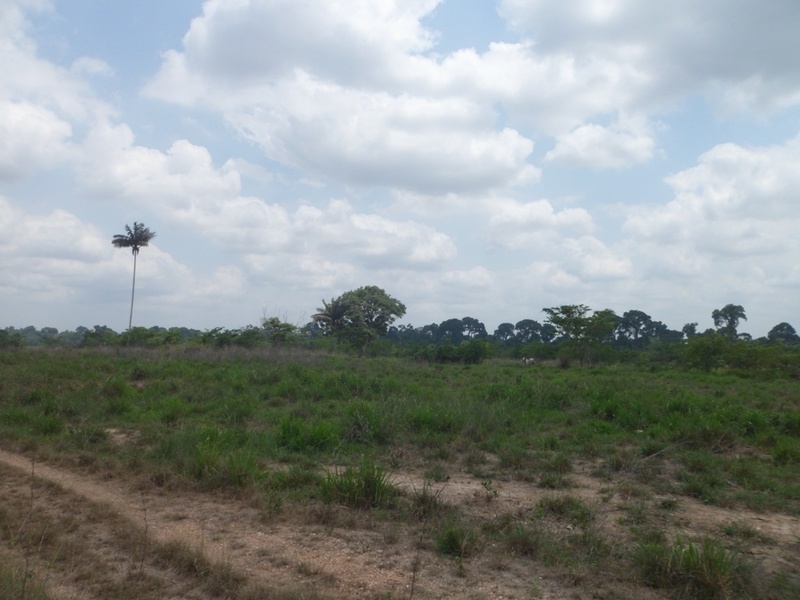 Visão geral - general view