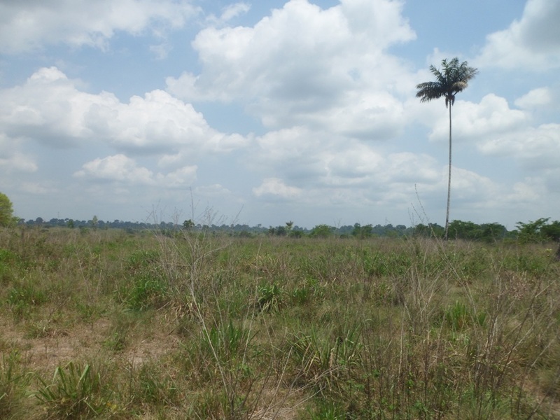 Visão norte - north view