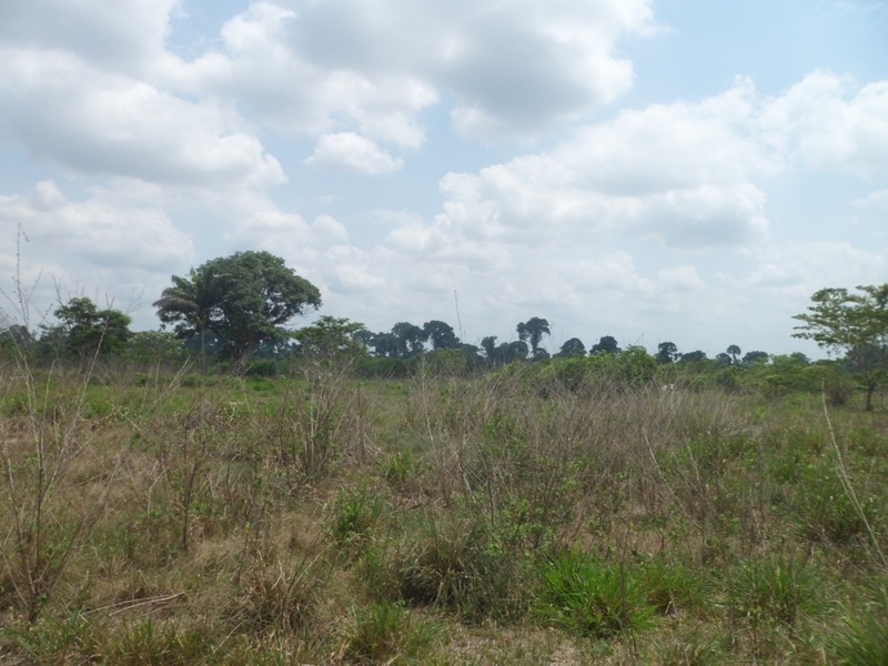 Visão leste - east view