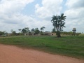 #9: A sede da fazenda parece uma vila - the farm homestead looks like a village