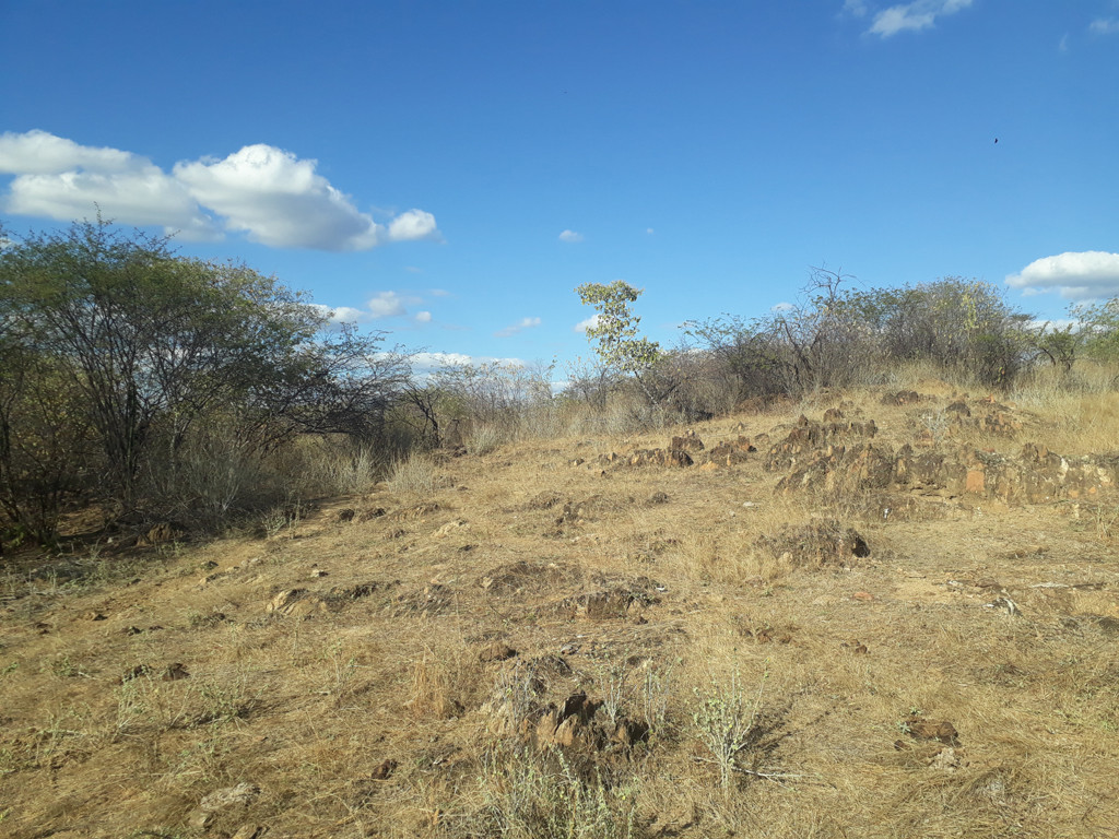 Visão geral - general view