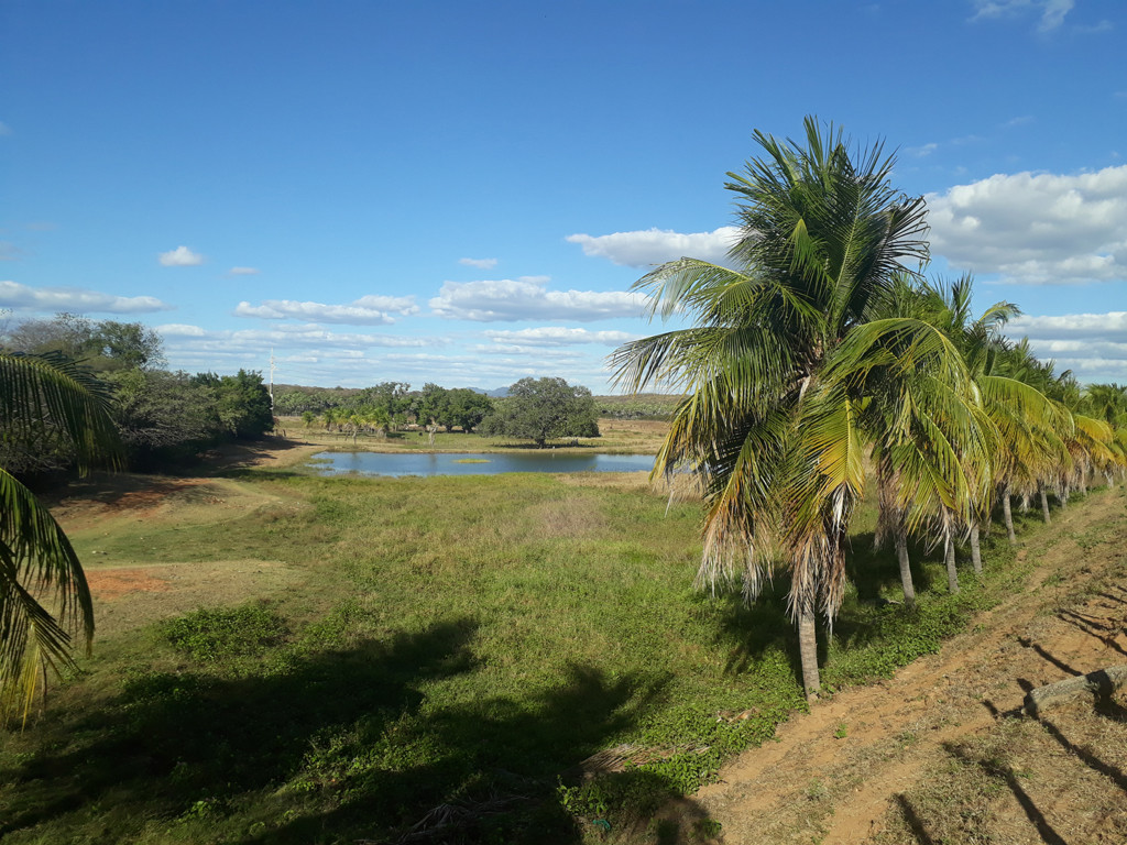 Paisagem próxima a confluência - landscape near the confluence
