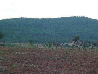 #1: General View To Confluence