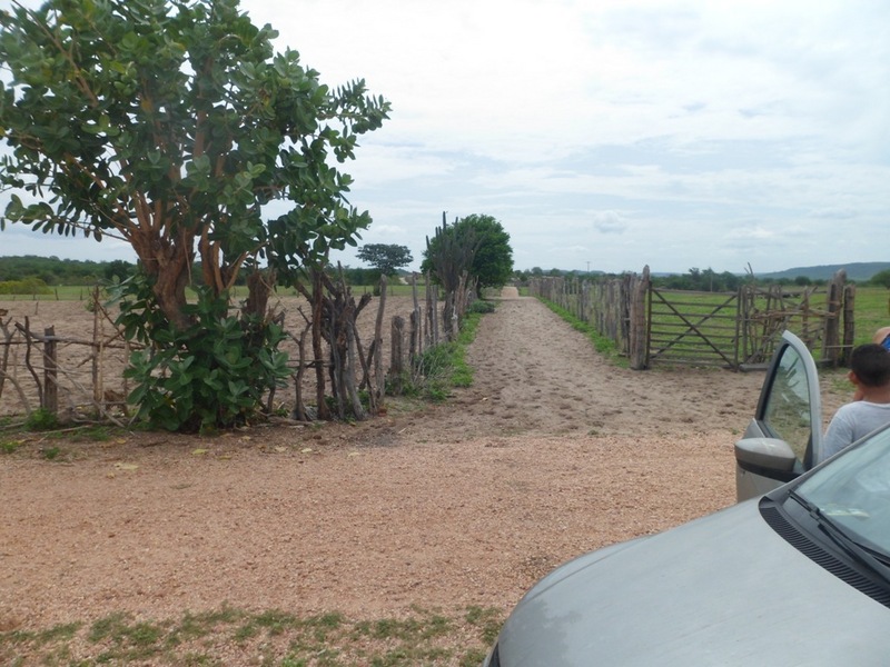 Início da caminhada - beginning of hike