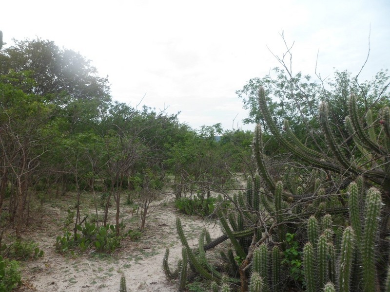 Visão geral - general view