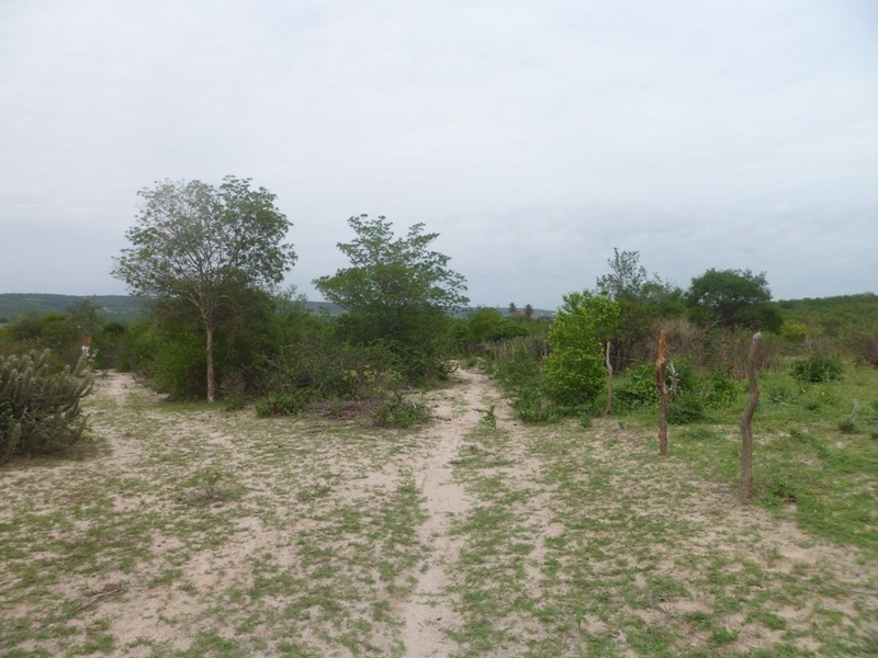 A estradinha passa a 80 metros da confluência - small road passes 80 meters to the confluence