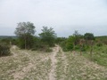 #8: A estradinha passa a 80 metros da confluência - small road passes 80 meters to the confluence