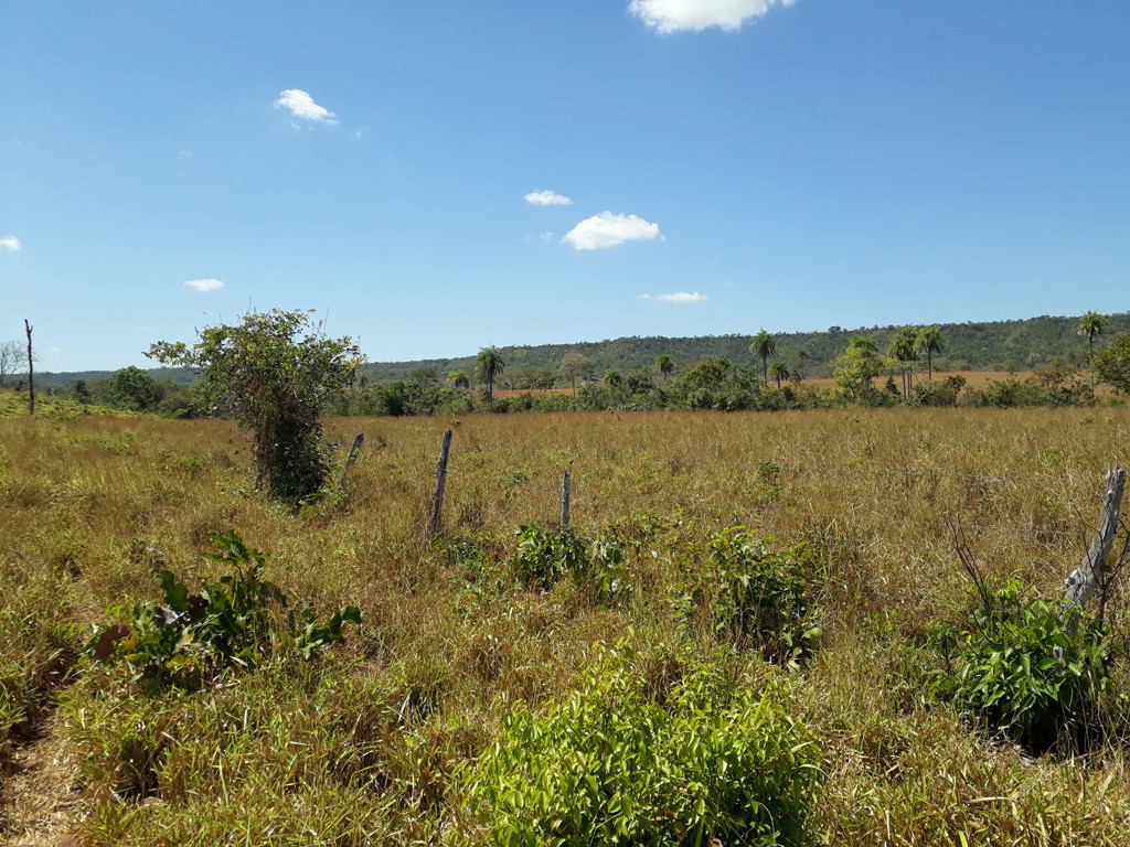 Visão geral - general view