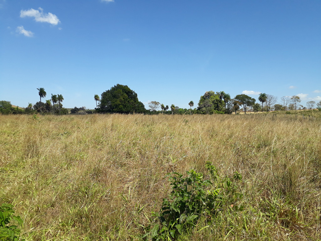 Visão oeste - west view