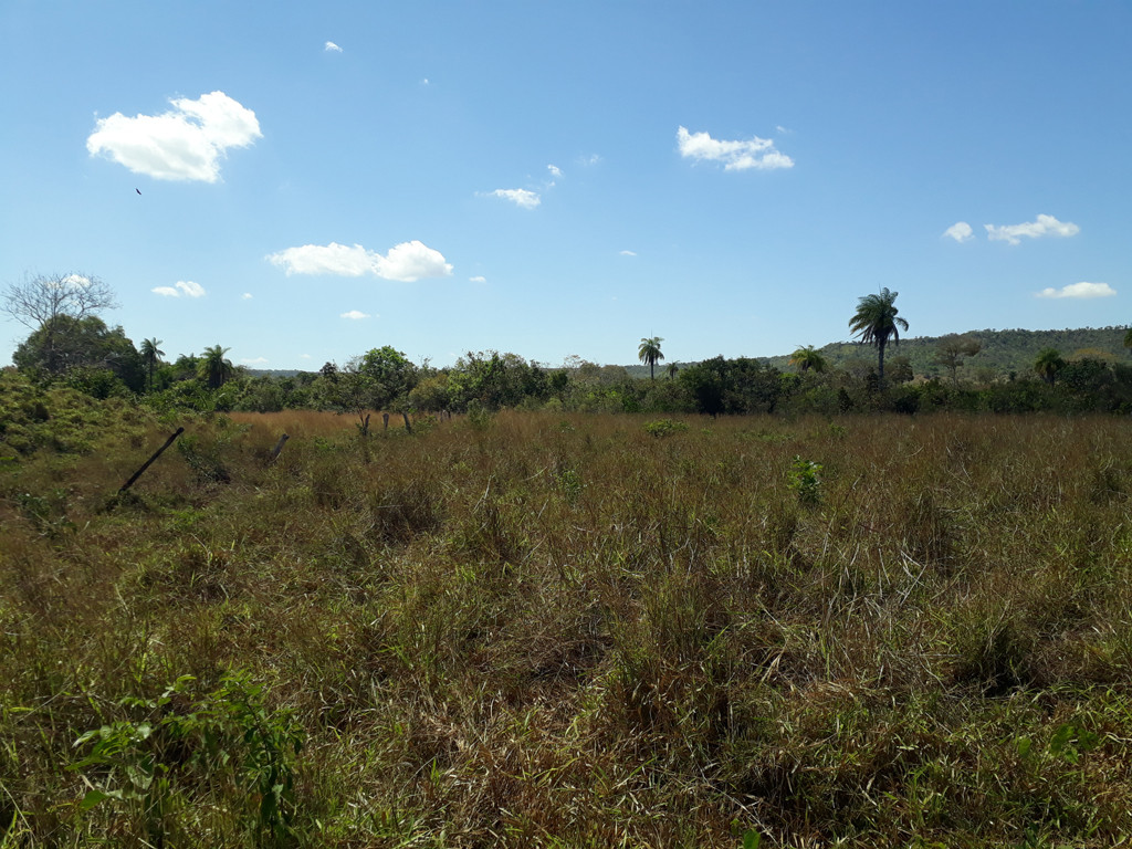 Visão leste - east view